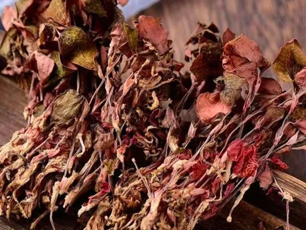 Super Grade Tørket Anoectochilus Roxburghii ankommer spesialmarkeder