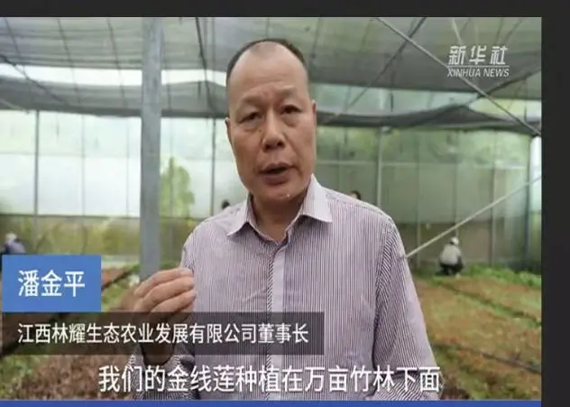 Pan Jinping, styreleder i Jiangxi Linyao Ecological Agriculture Development Co., Ltd., intervjuet av Xinhua News Agency