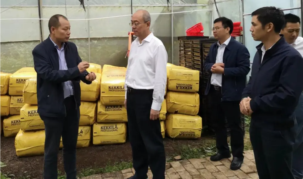 Xie Guanghua, partisekretær og direktør for Jiangxi provinsadministrasjon for tradisjonell kinesisk medisin, forsker ved Anoectochilus plantingsbase